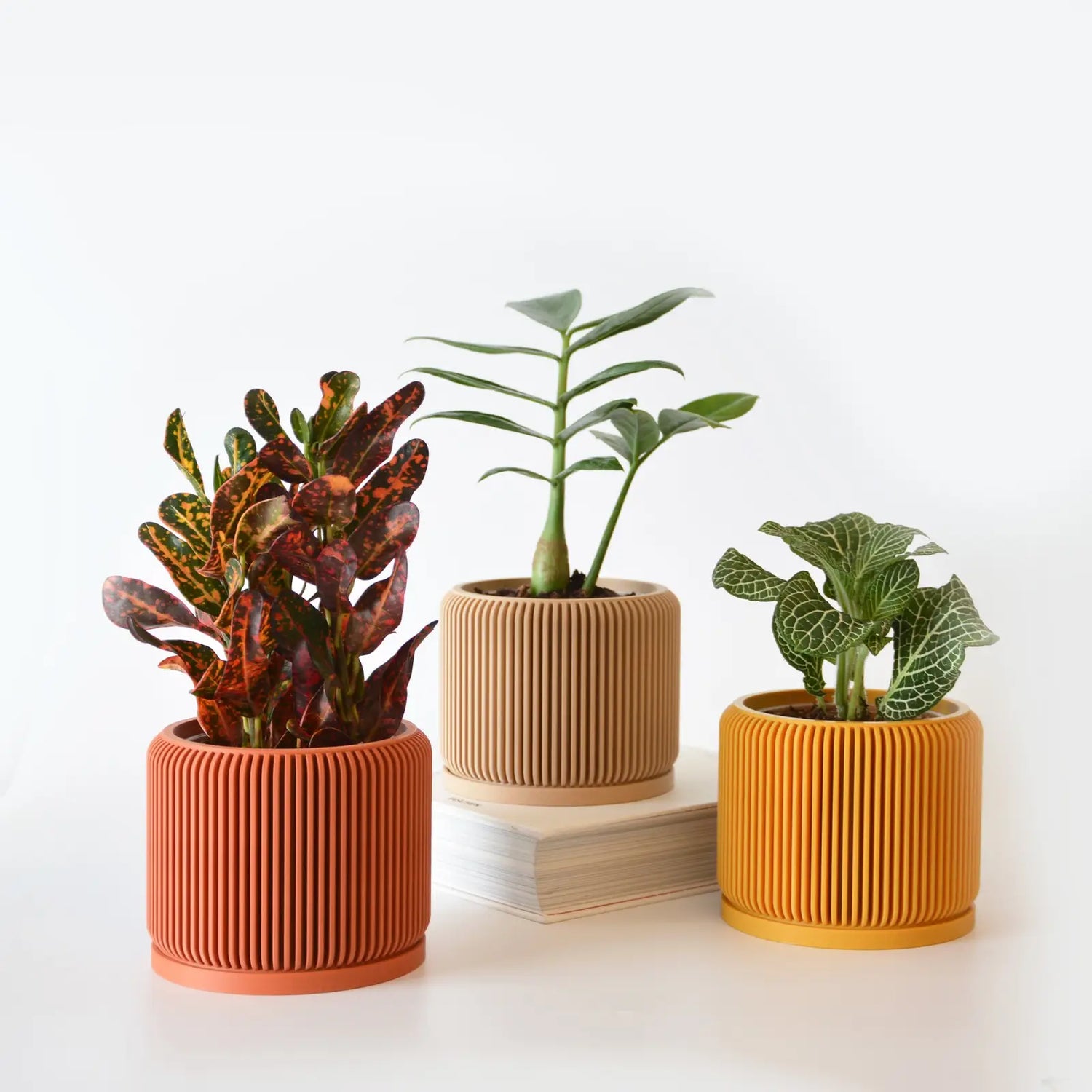 Planters